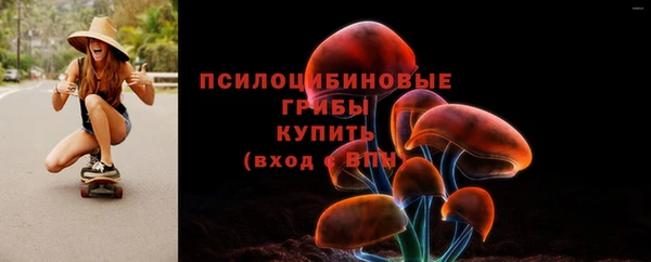 прущий лед Вязники