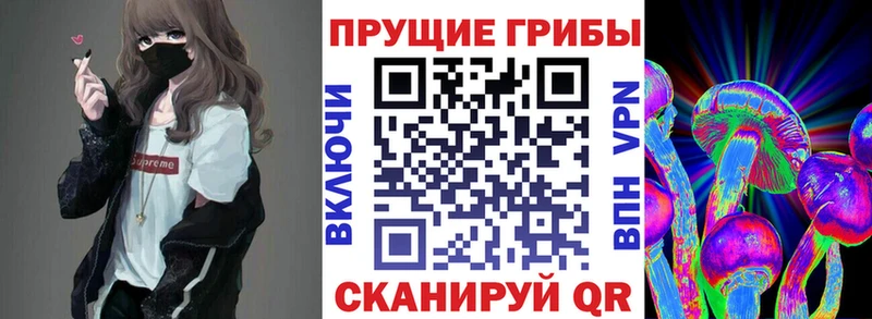 Галлюциногенные грибы Cubensis  shop как зайти  Емва 